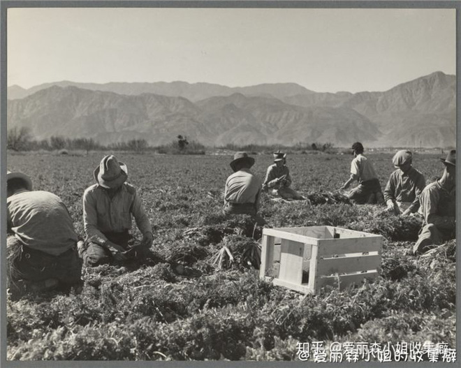 Sự kiện Dust Bowl: Cơn bão đen kéo dài 10 năm trên khắp Bắc Mỹ - Ảnh 3.