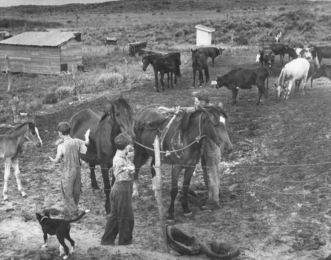 Sự kiện Dust Bowl: Cơn bão đen kéo dài 10 năm trên khắp Bắc Mỹ - Ảnh 10.