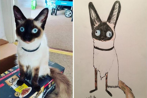 Hãy thử chinh phục sự sợ hãi của bạn với bức vẽ này, cho thấy chó mèo \