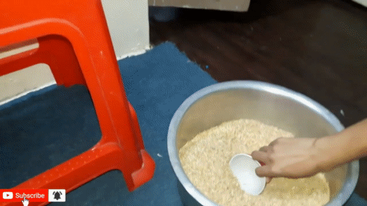 Bỏ vỏ trấu vào lò ấp
