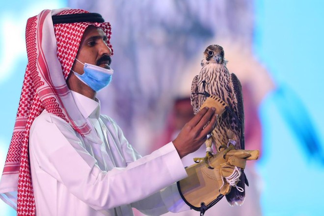 Đại gia Ả Rập Xê Út bỏ tiền tỷ để chơi chiến đấu cơ có lông - Ảnh 1.