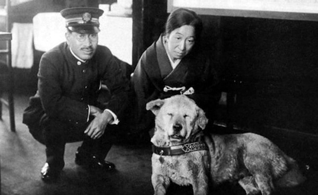 Những bức ảnh hiếm hoi về Hachikō - biểu tượng trung thành của người Nhật khiến người xem cảm tưởng câu chuyện đau lòng ấy đang diễn ra trước mắt - Ảnh 11.