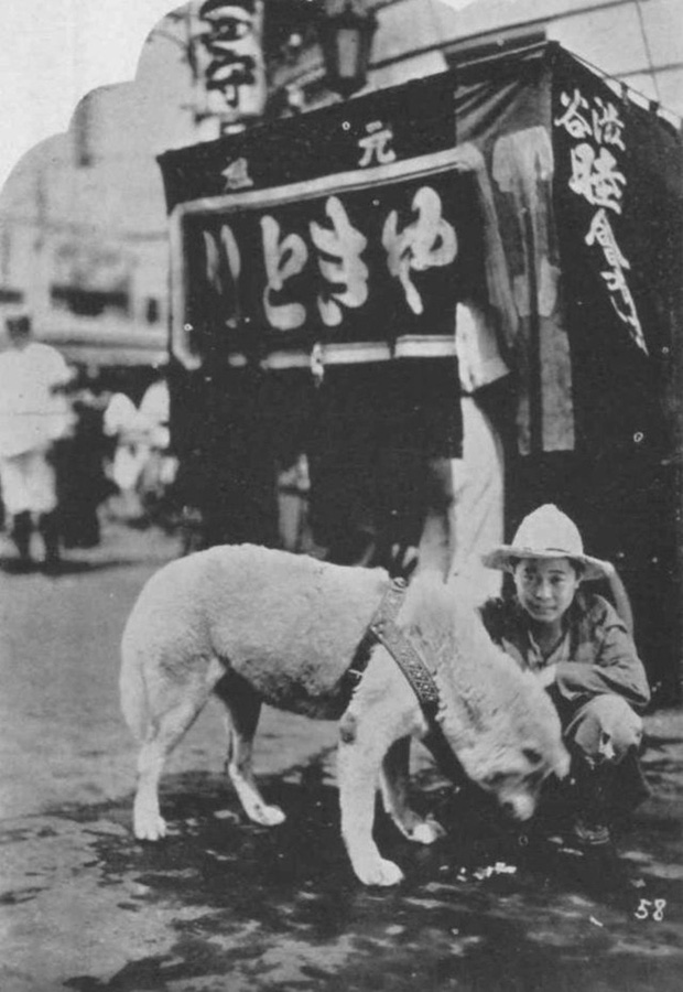 Những bức ảnh hiếm hoi về Hachikō - biểu tượng trung thành của người Nhật khiến người xem cảm tưởng câu chuyện đau lòng ấy đang diễn ra trước mắt - Ảnh 8.