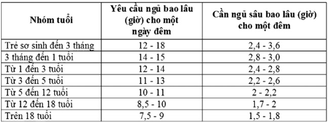 Cần ngủ sâu bao lâu là đủ? - Ảnh 2.