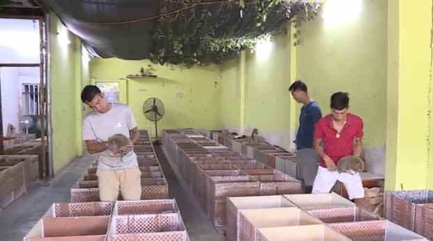 Mỗi ngày chỉ chi 200 đồng cho một con thú ăn, trang trại của hai anh nông dân lãi gần 4 tỷ đồng/năm - Ảnh 3.