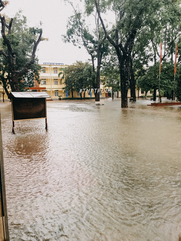 Mưa lớn nhiều ngày biến trường học Nghệ An thành bể bơi, có chỗ ngập sâu cả mét - Ảnh 3.