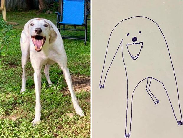 Hãy cùng khám phá những bức vẽ chó đáng yêu và hài hước nhất! Với mỗi nét vẽ tinh tế, bức tranh sẽ mang đến cho bạn cảm giác thoải mái và thư giãn. Xem thôi, chắc chắn bạn sẽ muốn thực hành cùng chú chó đáng yêu đó!