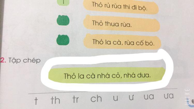 Đọc sách Tiếng Việt dạy con, phụ huynh hoang mang trước loạt từ khó giải nghĩa: Lồ ô, Nhá... - Ảnh 1.