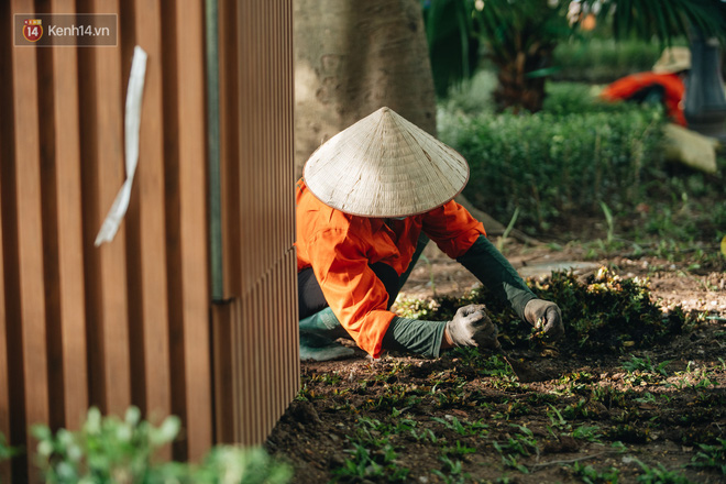 Người Hà Nội thích thú với diện mạo mới của hồ Gươm sau 5 tháng lát đá vĩnh cửu - Ảnh 8.