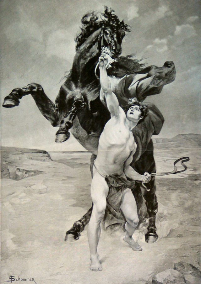 Những chiến mã nổi tiếng thế giới: Có cả loài ngựa giúp Napoleon đánh bại cả châu Âu - Ảnh 5.