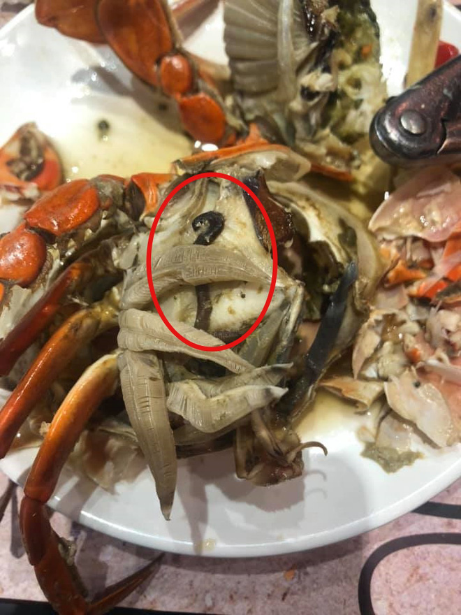 Bỏ hơn 1 triệu ăn buffet hải sản ở nhà hàng nổi tiếng Hà Nội, thực khách bất ngờ phát hiện cua có giun nhưng câu trả lời từ nhà hàng lại là thứ kỳ lạ khác? - Ảnh 6.
