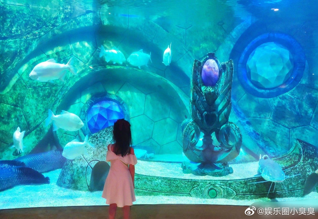 Tiểu công chúa 4 tuổi nhà Hoa hậu Thế giới Trương Tử Lâm gây sốt với chiều cao vượt trội, hứa hẹn trở thành mỹ nhân tương lai - Ảnh 6.