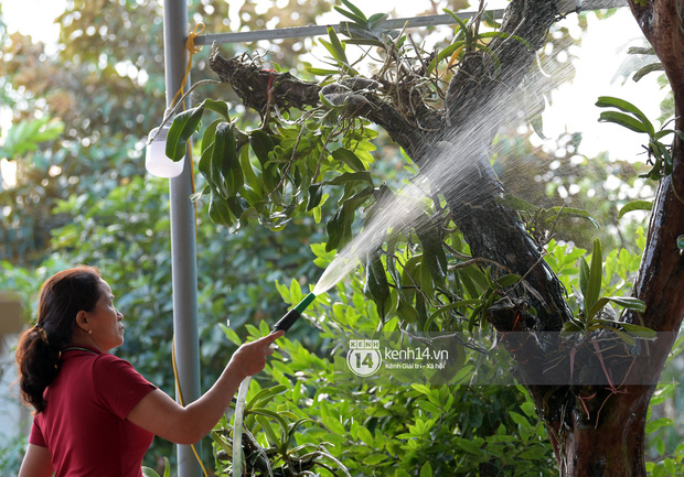 Độc quyền: Cận cảnh phòng riêng và loạt bằng khen của Hoa hậu Việt Nam Đỗ Thị Hà trong cơ ngơi rộng hàng trăm m2 ở Thanh Hoá - Ảnh 14.