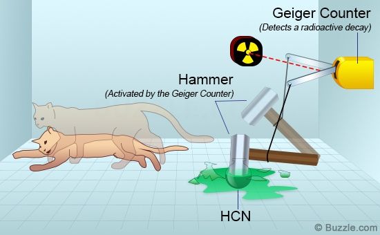 Thế giới mà chúng ta đang sống có thật, hay nó chỉ là một trò chơi mô phỏng? - Ảnh 5.