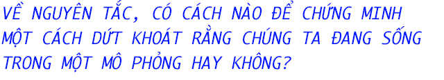 Thế giới mà chúng ta đang sống có thật, hay nó chỉ là một trò chơi mô phỏng? - Ảnh 10.