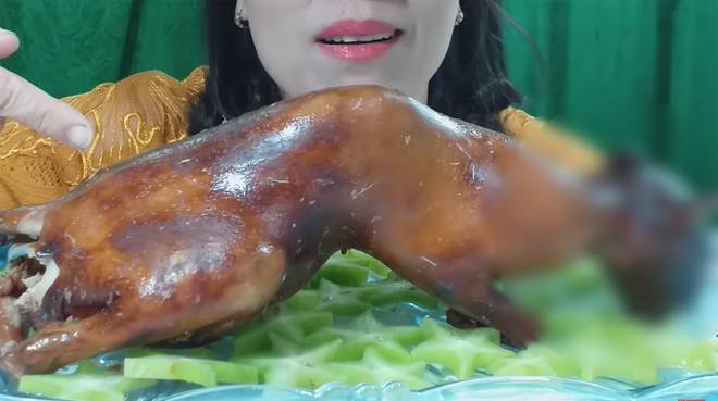 Ăn thịt chó mèo, vlogger người Việt gây tranh cãi dữ dội: nhiều người phẫn nộ, một số lại cho là chuyện bình thường - Ảnh 1.
