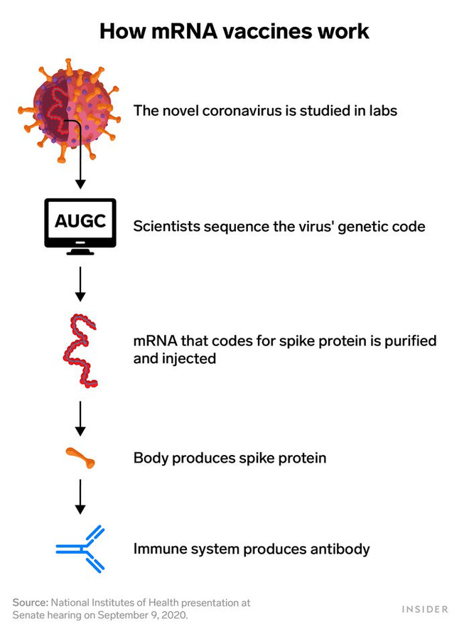 Đằng sau lý do tại sao vắc xin COVID-19 của Moderna có thể được thiết kế với thời gian kỷ lục: Chỉ 2 ngày - Ảnh 1.