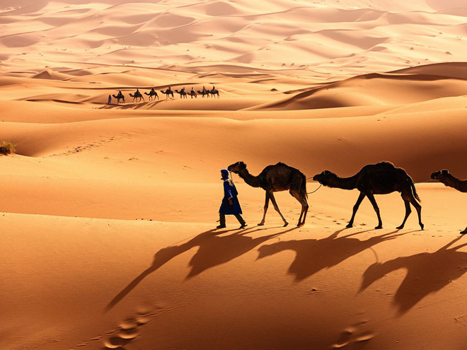 Ta có thể biến sa mạc Sahara thành nhà máy năng lượng Mặt Trời lớn nhất thế giới không? - Ảnh 1.