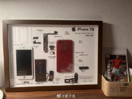 Rộ trào lưu mổ xẻ iPhone cũ làm tiêu bản ở Trung Quốc - Ảnh 5.