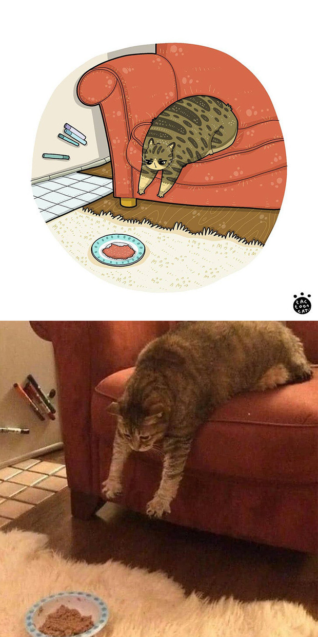 Khi những chú mèo meme được họa lại theo phong cách hoạt hình siêu cute, đốn tim từ ảnh đầu luôn - Ảnh 2.