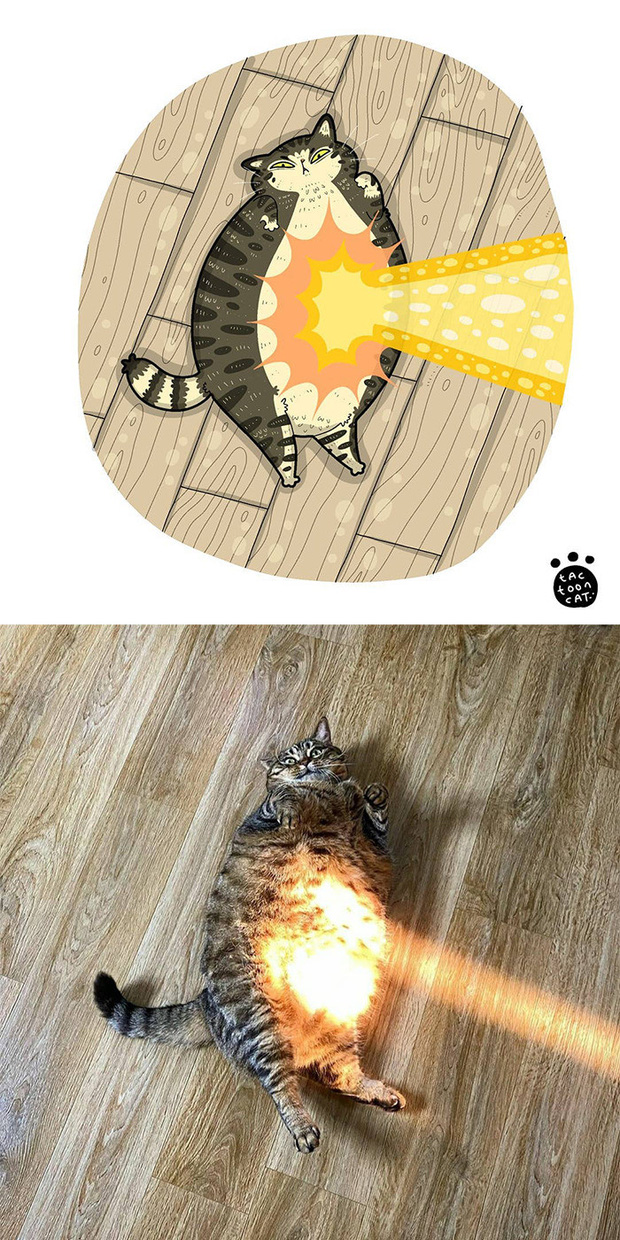 Khi những chú mèo meme được họa lại theo phong cách hoạt hình siêu cute, đốn tim từ ảnh đầu luôn - Ảnh 12.