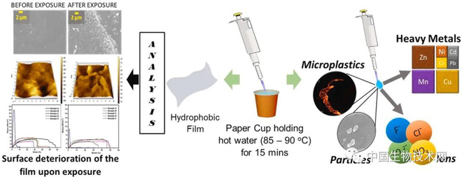 Dùng cốc giấy đựng cà phê nóng, thứ bạn uống sẽ không chỉ là cafein mà còn đầy ắp những thứ đáng sợ này - Ảnh 3.