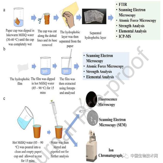 Dùng cốc giấy đựng cà phê nóng, thứ bạn uống sẽ không chỉ là cafein mà còn đầy ắp những thứ đáng sợ này - Ảnh 3.