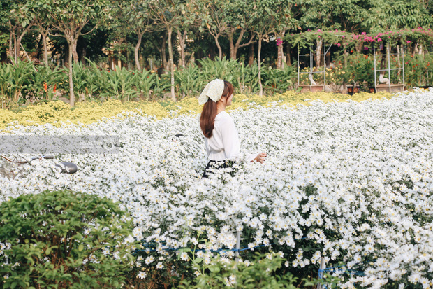 Trường ĐH rộng gần 200 ha có vườn hoa đẹp nhất mùa đông Hà Nội, nhiều góc sống ảo cực chill chỉ với 25K - Ảnh 3.