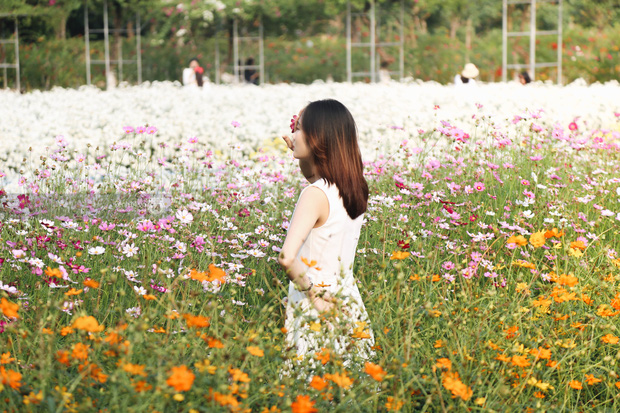 Trường ĐH rộng gần 200 ha có vườn hoa đẹp nhất mùa đông Hà Nội, nhiều góc sống ảo cực chill chỉ với 25K - Ảnh 5.