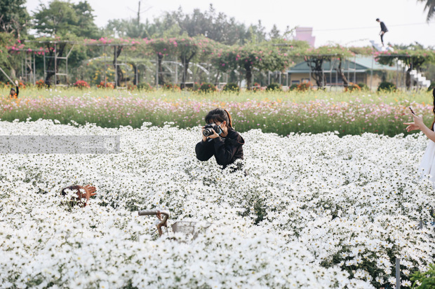 Trường ĐH rộng gần 200 ha có vườn hoa đẹp nhất mùa đông Hà Nội, nhiều góc sống ảo cực chill chỉ với 25K - Ảnh 6.