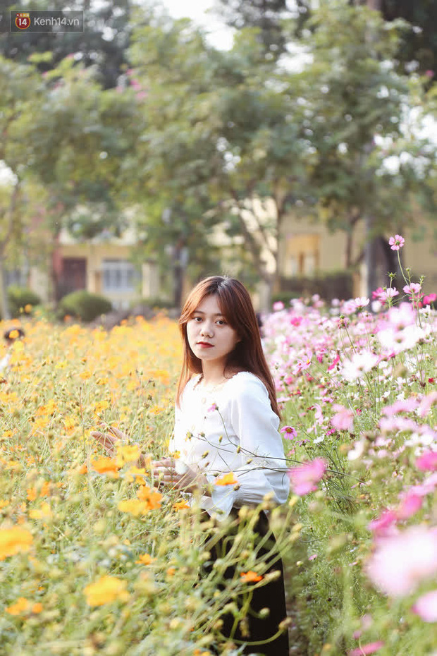 Trường ĐH rộng gần 200 ha có vườn hoa đẹp nhất mùa đông Hà Nội, nhiều góc sống ảo cực chill chỉ với 25K - Ảnh 7.