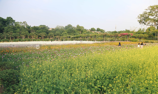 Trường ĐH rộng gần 200 ha có vườn hoa đẹp nhất mùa đông Hà Nội, nhiều góc sống ảo cực chill chỉ với 25K - Ảnh 8.