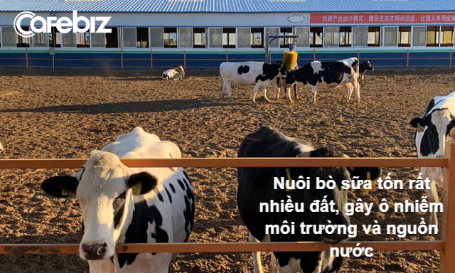 Uống sữa để yêu nước - Chiến dịch tăng chiều cao của người Trung Quốc và cái giá đắt đỏ đối với môi trường thế giới - Ảnh 2.