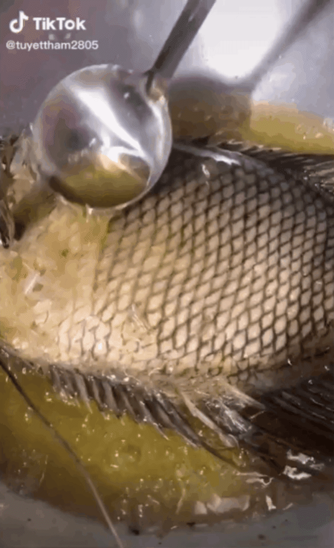 Cảnh chiên cá còn nguyên vảy khiến người xem “nổi hết gai óc” vì sợ, hoá ra lại được xem là đặc sản nức tiếng miền Tây - Ảnh 1.