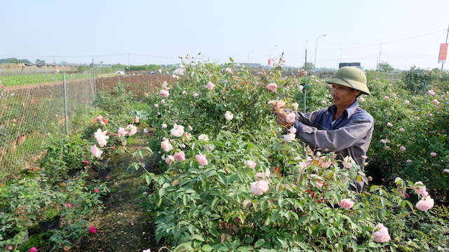 Hơn 27.000 nông dân trở thành tỷ phú - Ảnh 2.