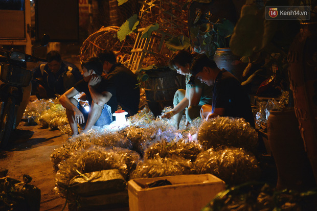 Cận cảnh chợ côn trùng độc nhất Sài Gòn, mỗi ngày chỉ họp đúng 2 tiếng lúc nửa đêm - Ảnh 4.