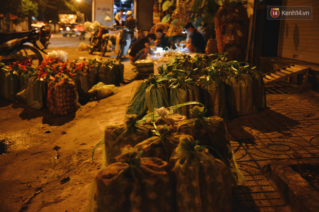 Cận cảnh chợ côn trùng độc nhất Sài Gòn, mỗi ngày chỉ họp đúng 2 tiếng lúc nửa đêm - Ảnh 5.