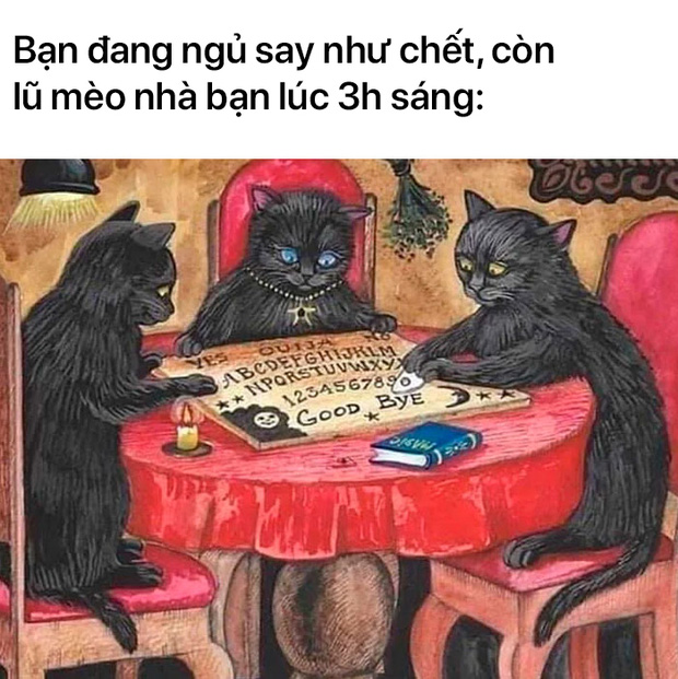 Loạt meme tranh cổ điển cho thấy dân mạng có thể đem sự hài hước vào tất cả mọi thứ trên đời - Ảnh 8.