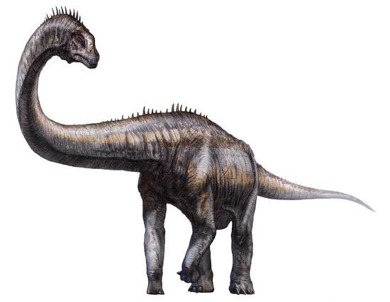 Phát hiện gần 100 dấu chân khủng long to lớn ở Tây Tạng - Ảnh 1.
