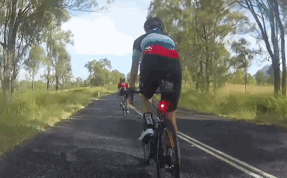 Clip: Kangaroo bay lên không, đá văng người phụ nữ đi xe đạp