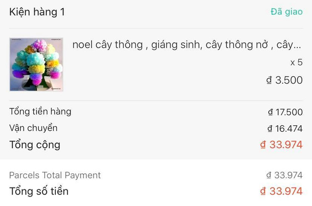 Thanh niên bị tổn thương tinh thần vì lên mạng order cây thông lại nhận về thứ như... măng khô nấu cỗ - Ảnh 3.