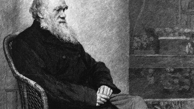 160 năm sau, các nhà khoa học thừa nhận Charles Darwin đã đúng về việc lý do tại sao côn trùng mất khả năng bay - Ảnh 1.