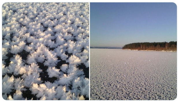 Loạt hình ảnh trong mùa đông khắc nghiệt, băng tuyết trắng xoá ở nước Nga chỉ nhìn thôi cũng đủ thấy rét run cầm cập - Ảnh 12.