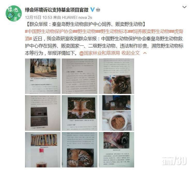 Núp bóng bảo trợ để kinh doanh động vật quý hiếm, một trung tâm ở Trung Quốc bán lông hổ giá... 2,5 tỷ đồng - Ảnh 1.