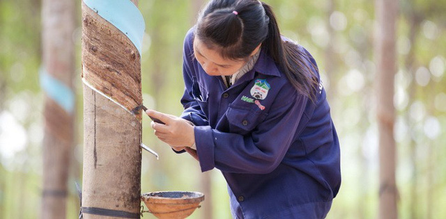 10 năm bão táp của Hoàng Anh Gia Lai: Bỏ bất động sản, tìm về nông nghiệp, từ đỉnh cao huy hoàng tới mấp mé vực thẳm - Ảnh 3.