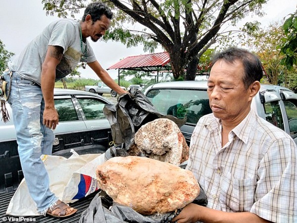 Nhặt cục đá sần sùi ngoài biển về, lão ngư nghèo bỗng đổi đời khi biết đó là báu vật biển cả - Ảnh 2.