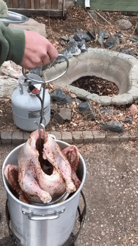 Thì ra đây là cách người Mỹ chiên gà tây nguyên con tại nhà, thành quả nhìn thèm ứa nước miếng - Ảnh 1.