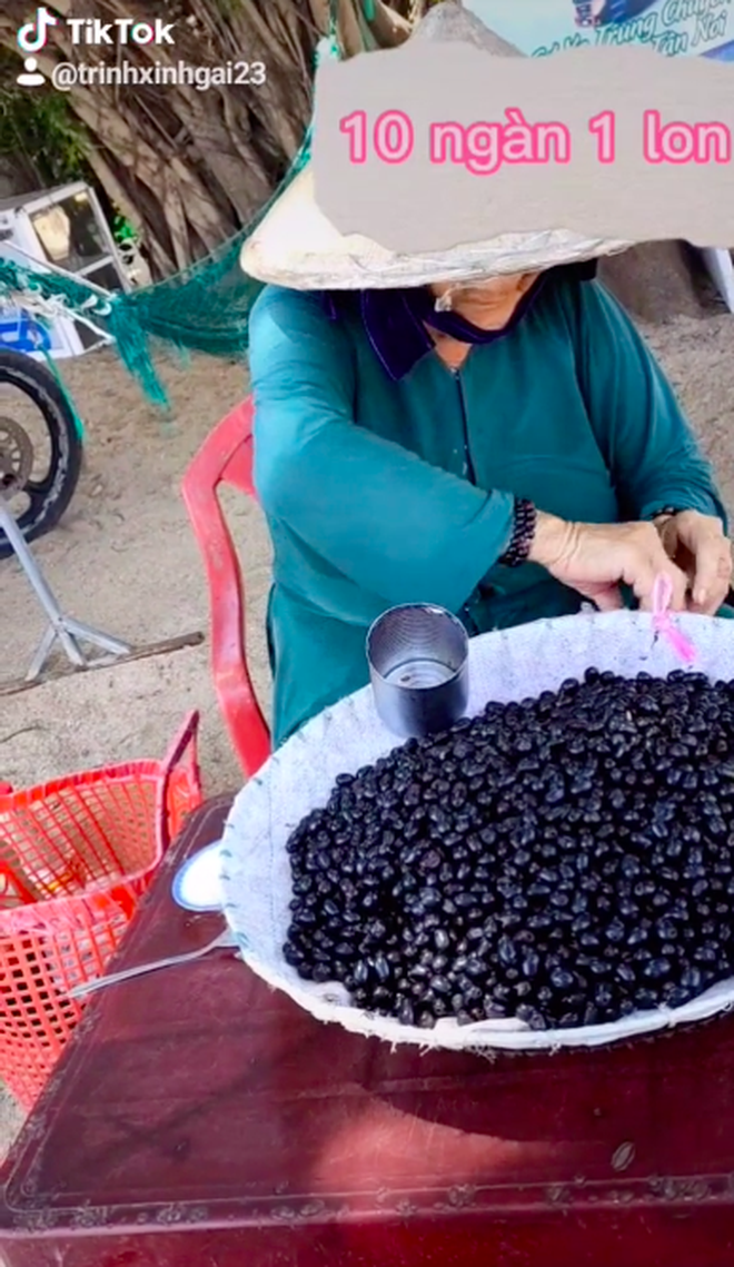 Cô gái giới thiệu một loại quả cực khó nuốt mà nhiều người thành thị chưa từng nếm thử, giá bán có khi lên đến cả trăm nghìn 1 ký - Ảnh 4.