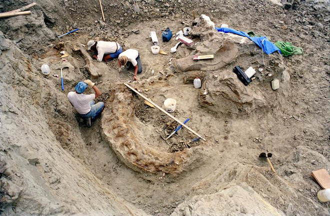 Bánh xe bị thủng lốp khi đi khảo sát giúp các nhà khảo cổ tìm ra điều diệu kỳ - Ảnh 4.