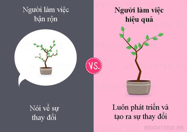 Tư duy khác biệt giữa người làm việc bận rộn và người làm việc hiệu quả: Ai thành đạt? - Ảnh 8.